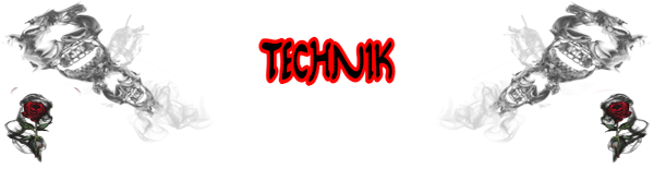 Technik